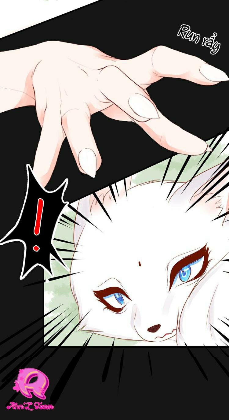 nỗi nhớ ngàn năm chapter 2 15