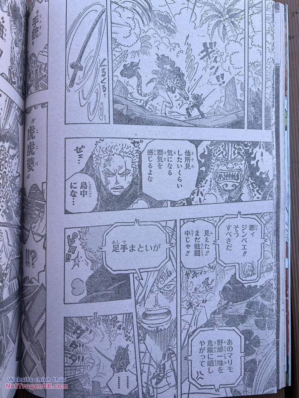 đảo hải tặc - one piece chapter 1110 4