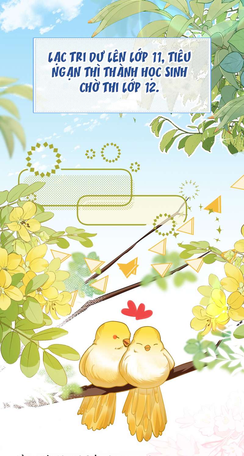 tín tức tố nói chúng ta không thể chapter 70 57