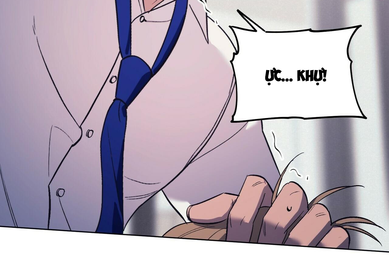 chàng dâu nhà họ kang chapter 15 122