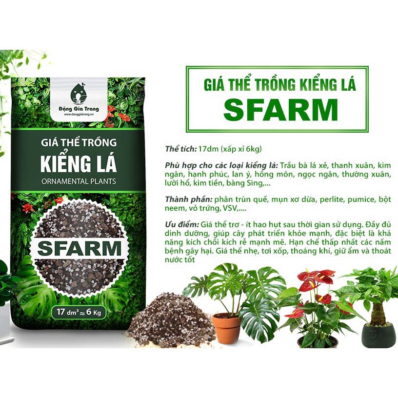 1Kg Giá Thể Trồng Cây Kiểng Lá Sfarm - Đất Hỗn Hợp Trồng Cây Cảnh