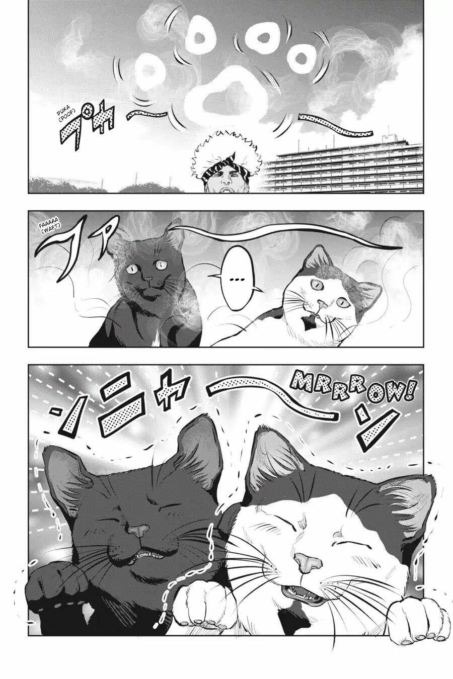 nyankees chapter 12 13