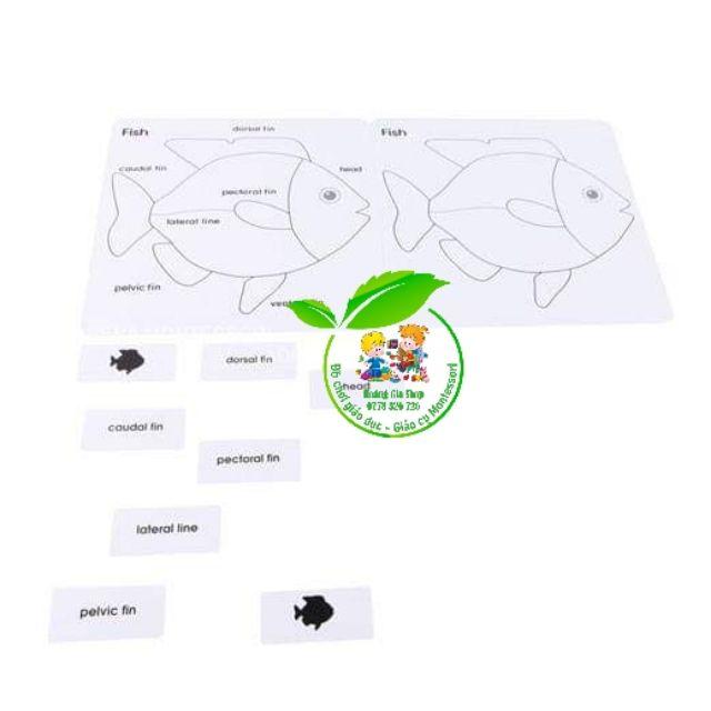 Bộ thẻ học 3 phần động vật (Animal Puzzle Activity Set)