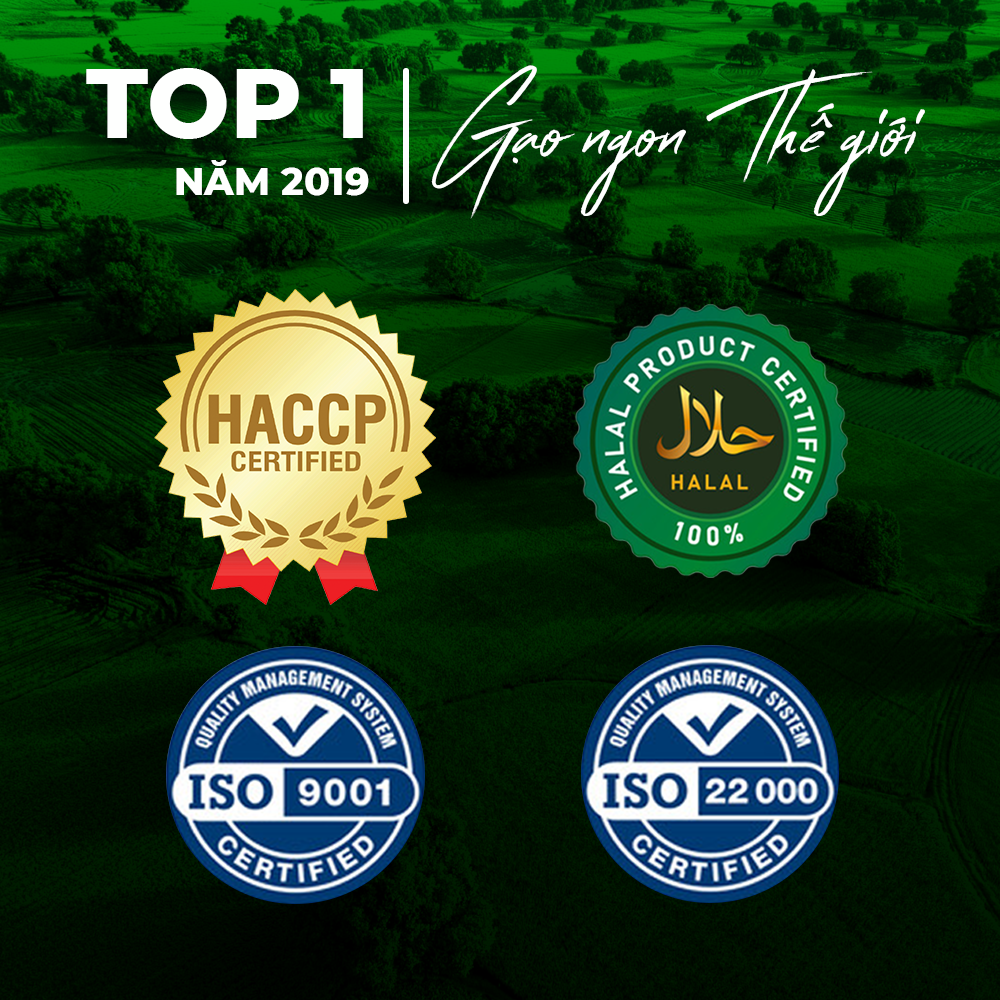Gạo thơm thượng hạng Tứ Quý - Túi 10kg - Gạo thượng hạng thơm dẻo, đậm vị 5RICE