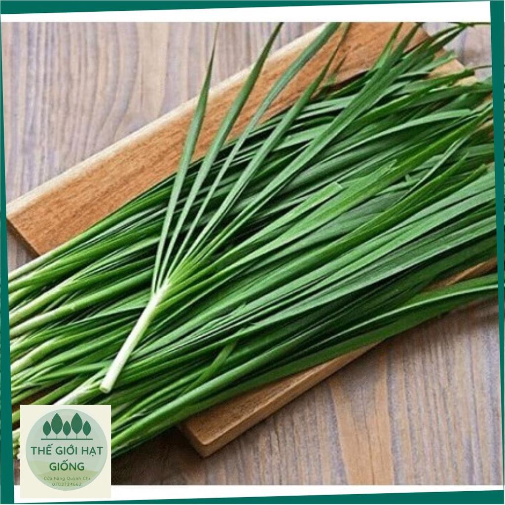 Hạt giống hẹ lá