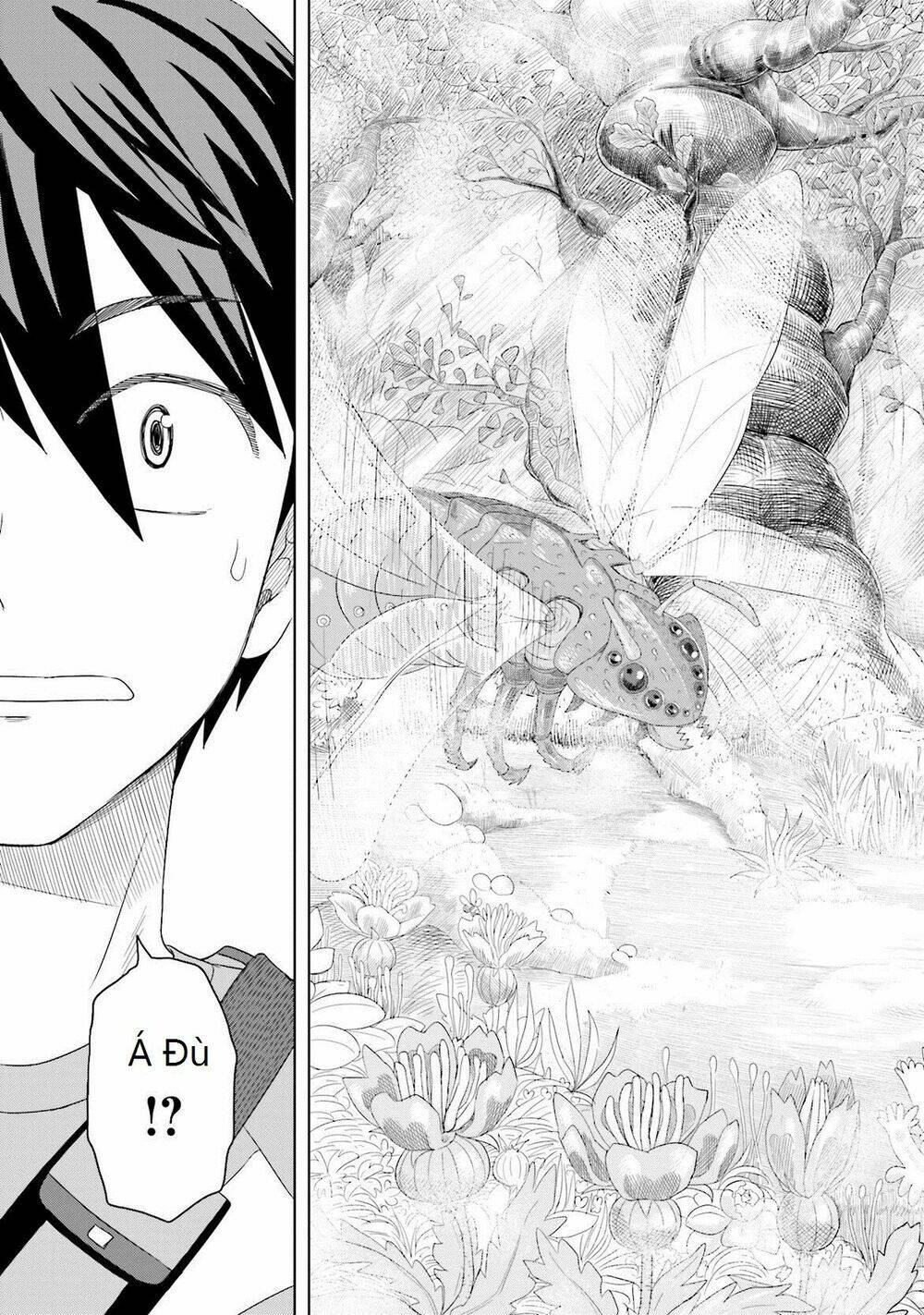 maiden order chapter 1 21