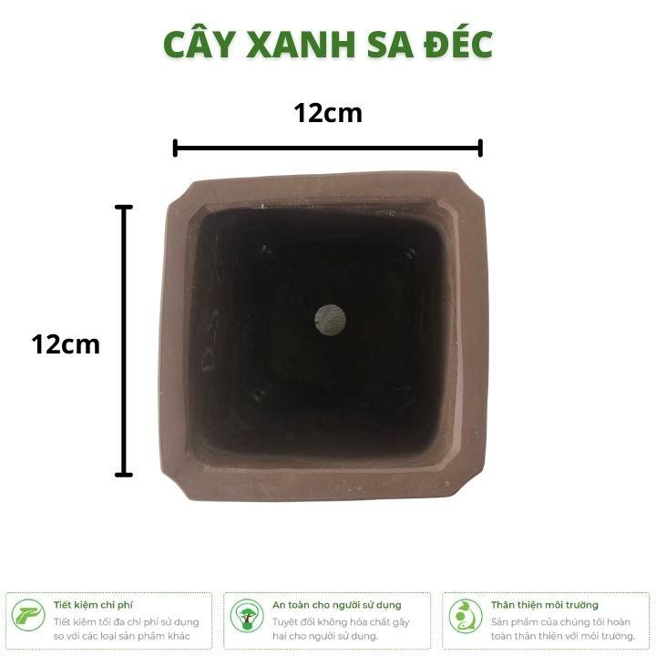 Chậu vuông dáng cao hoa văn chữ tàu cổ xưa CK18 trồng cây bonsai, cây để bàn