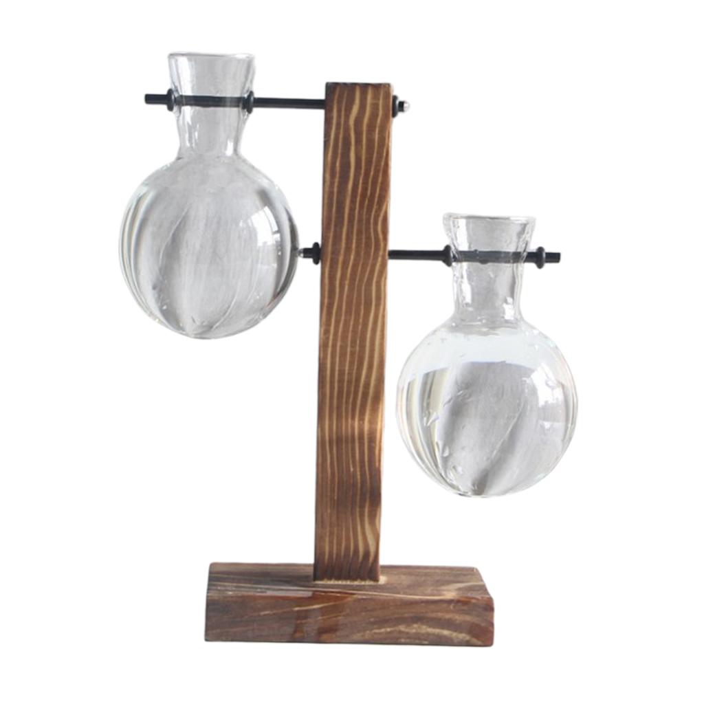 Set Ống Nghiệm Kèm Giá Đỡ Dùng Trồng Cây Thủy Canh Độc Đáo