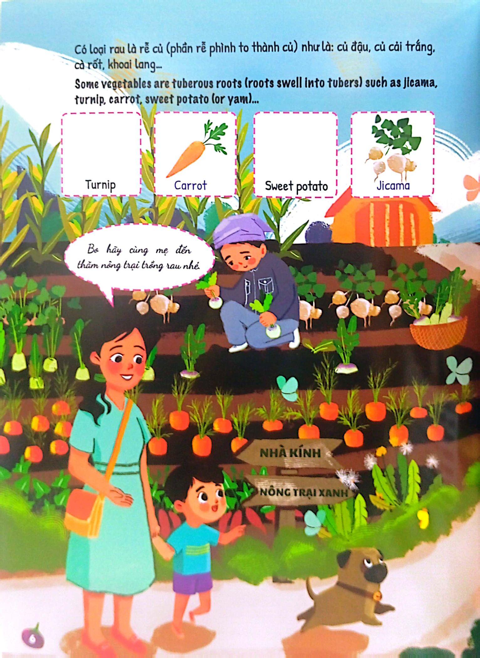 Ứ Ừ Con Ghét - Tập 4: Hóa Ra Rau Không Đáng Ghét, Mẹ Nhỉ?