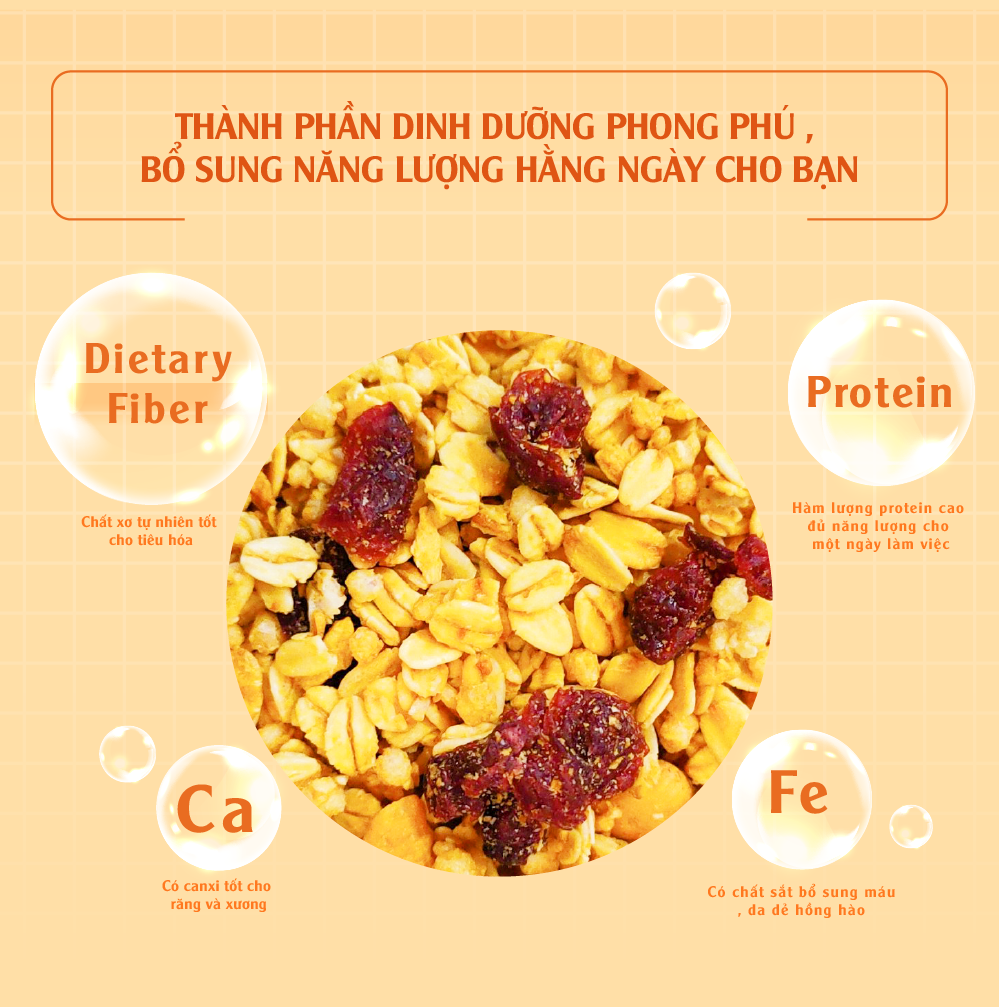 Hỗn hợp yến mạch và trái cây khô Granola Multigrain 800gr Dan D Pak