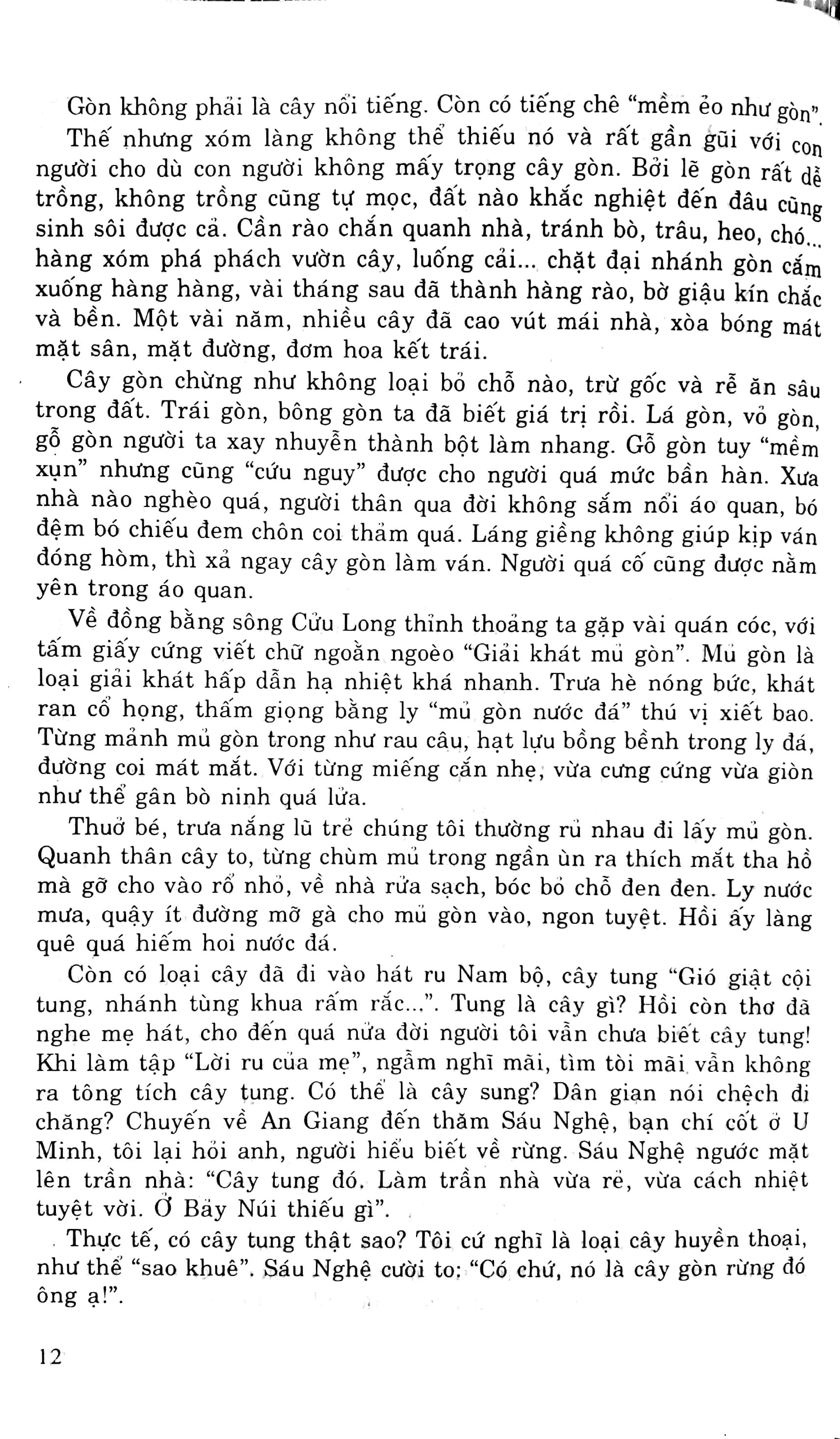 Luyện Viết Văn Hay Lớp 9