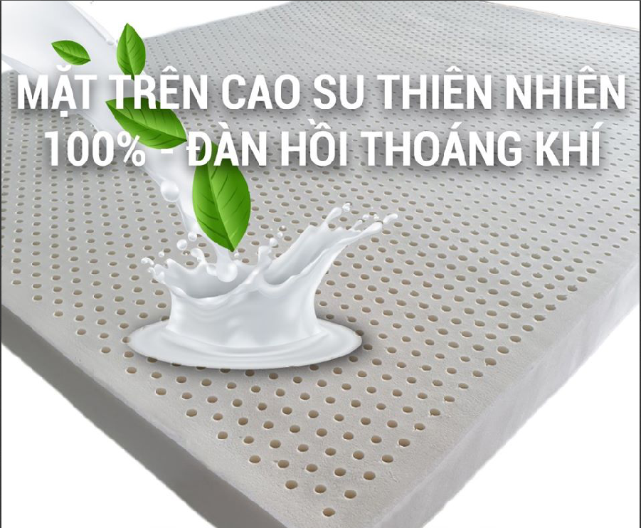 Nệm Cao Su Thiên Nhiên Truyền Thống Evera Kích Thước 2m0x1m6 Độ Dày 10cm