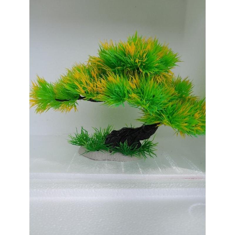 Bonsai bể cá cảnh - cây trang trí hòn non bộ tiểu canh-cây để bàn