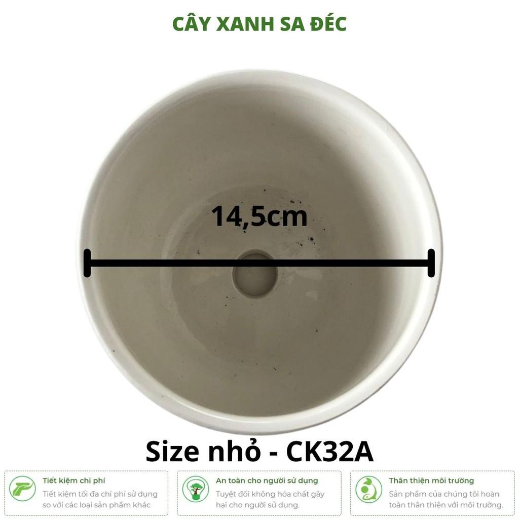Bộ chậu men Hoa Đào Đỏ CK32 trồng cây cảnh trang trí nhà cửa, ban công, văn phòng, phòng ngủ, góc học tập