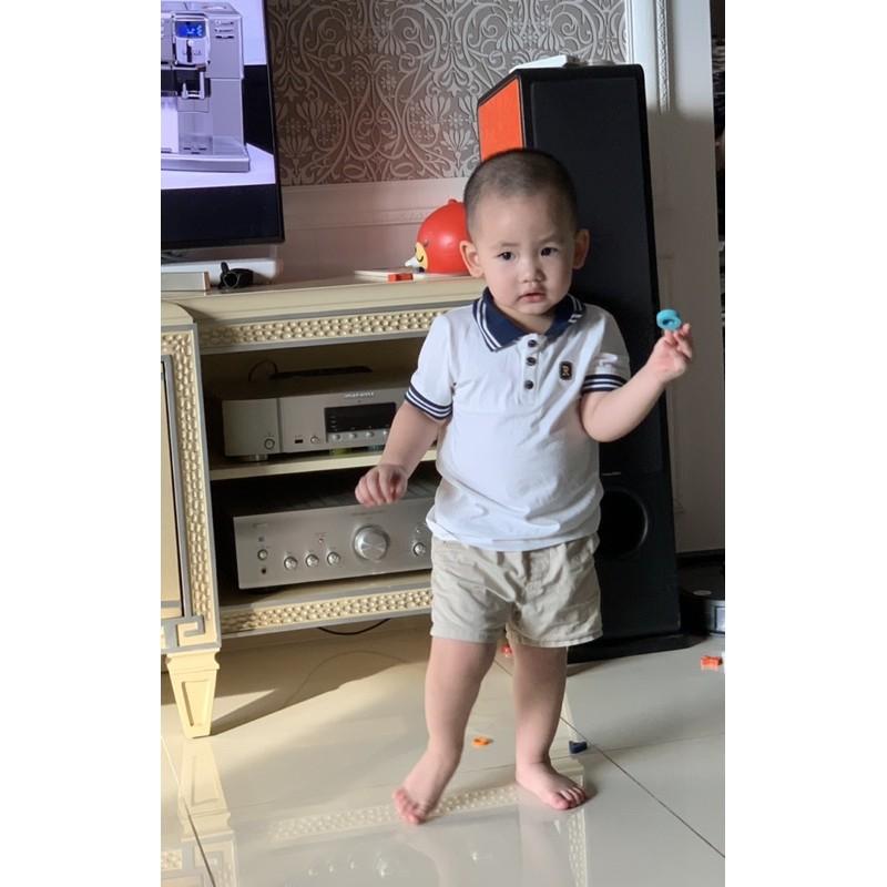 Áo thun polo cotton cao cấp cho bé iu từ 6-27 kg