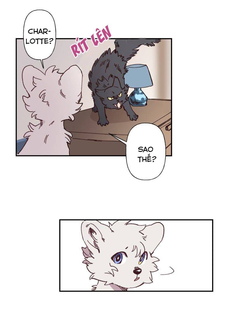 lumine - cội nguồn ánh sáng chapter 84 6