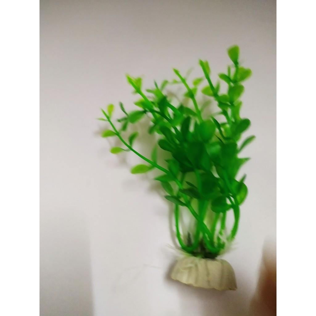 Bộ 2 Cây Rong Mini cao 13 cm Trang Trí Hồ Cá, Bể Cá-Hòn Non Bộ,..