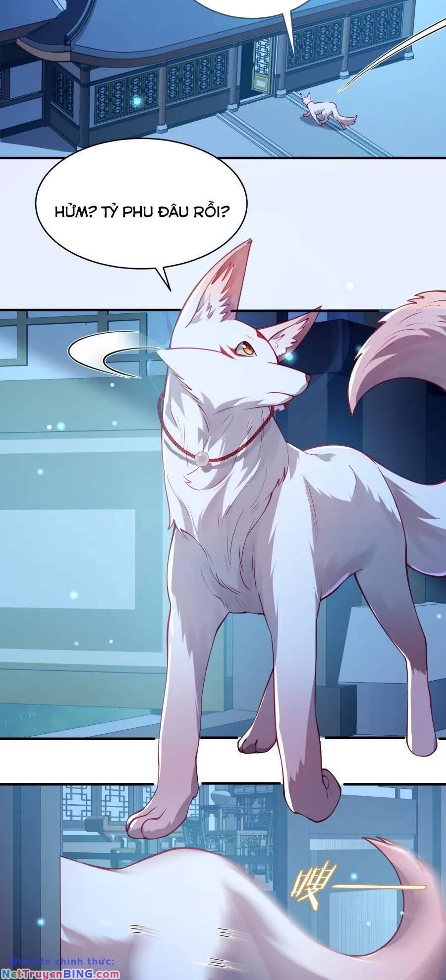 bói toán mà thôi, cửu vĩ yêu đế sao lại thành nương tử ta?! chapter 34 15