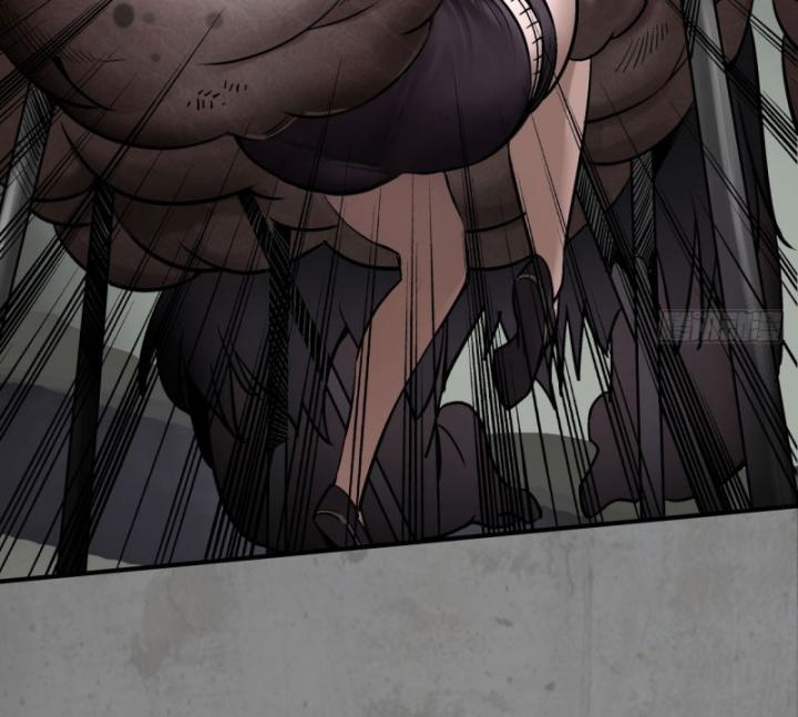 Tạng Phong Hành chapter 207 29