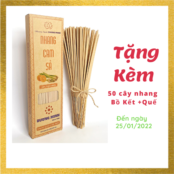 Hương nhang Cam Sả Dương Minh 180cây nhang 30cm nhang sạch 100% thành phần tự nhiên - nhang cây thắp cúng/xông nhà/đuổi muỗi, hương nhang thơm dịu nhẹ an toàn