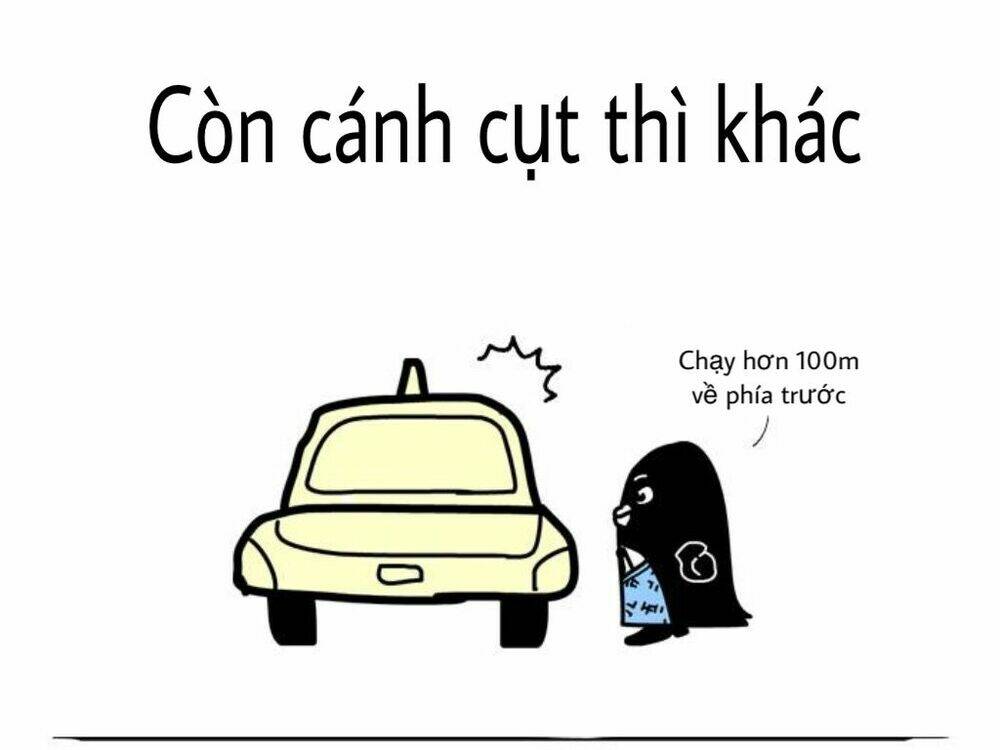 the life of the three bears chapter 1 8