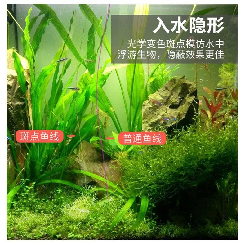 Cước câu cá 3D 500m chấm xanh tàng hình