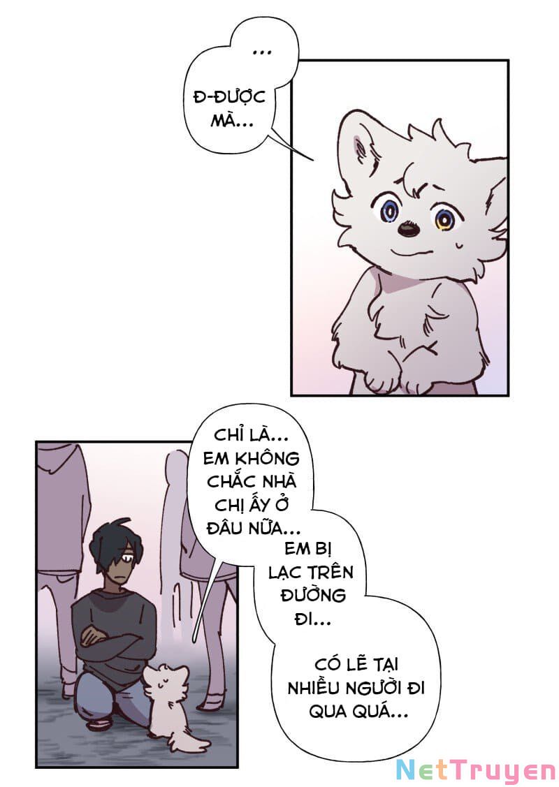 lumine - cội nguồn ánh sáng chapter 82 9