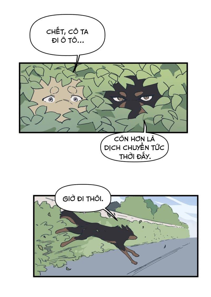 lumine - cội nguồn ánh sáng chapter 140 33