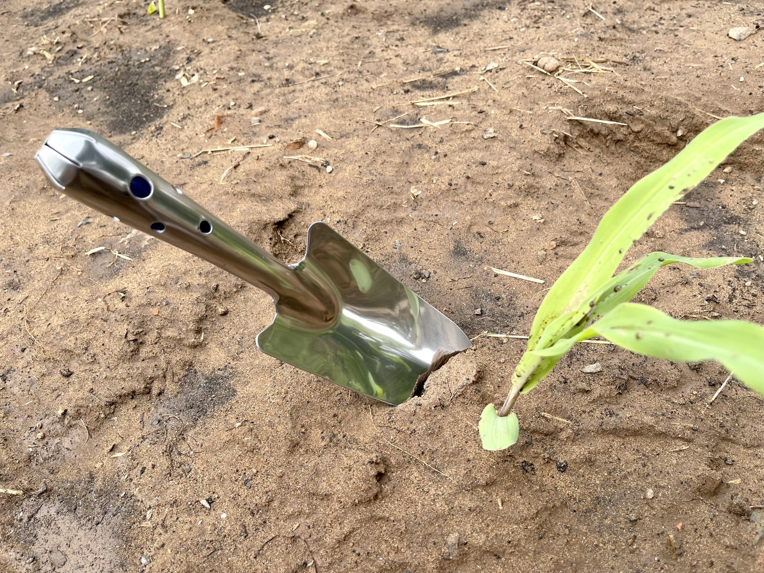 Xẻng Inox làm vườn dài 27cm chuyên dùng xúc đất