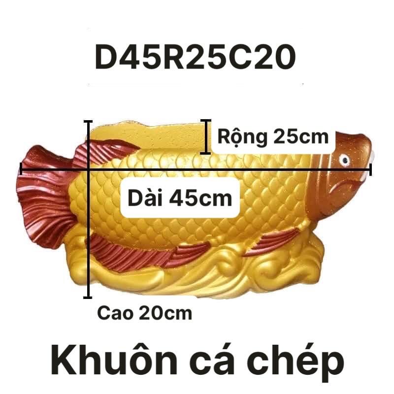 Khuôn chậu hình con cá chất liệu nhựa ABS đầy đủ lòng trong và tấm đáy