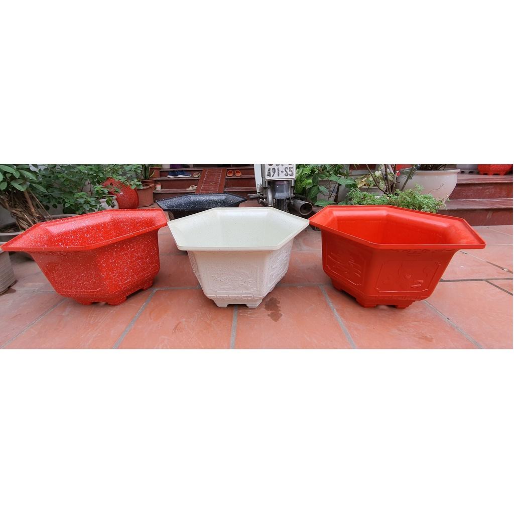 Chậu nhựa lục giác Phúc, Lộc, Thọ L22 đa sắc màu