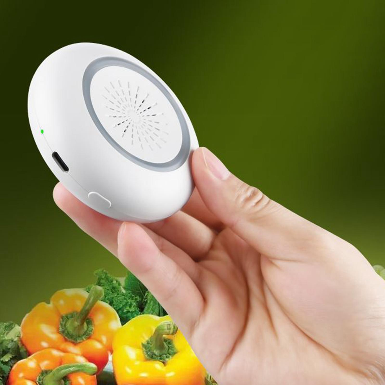 Refrigerator Deodorant Emitter for Closet