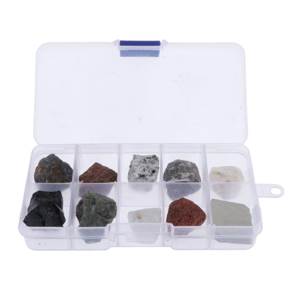 10 chiếc Đá Đá Khoáng Bộ Giáo Dục Địa Chất Học Mẫu Vật