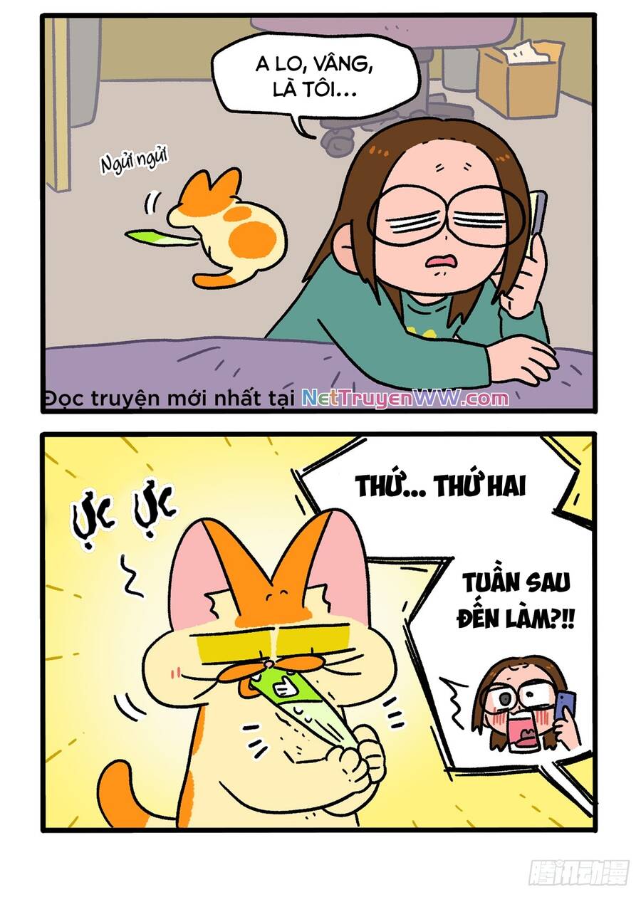 a mãn và mạch trà chapter 147 4