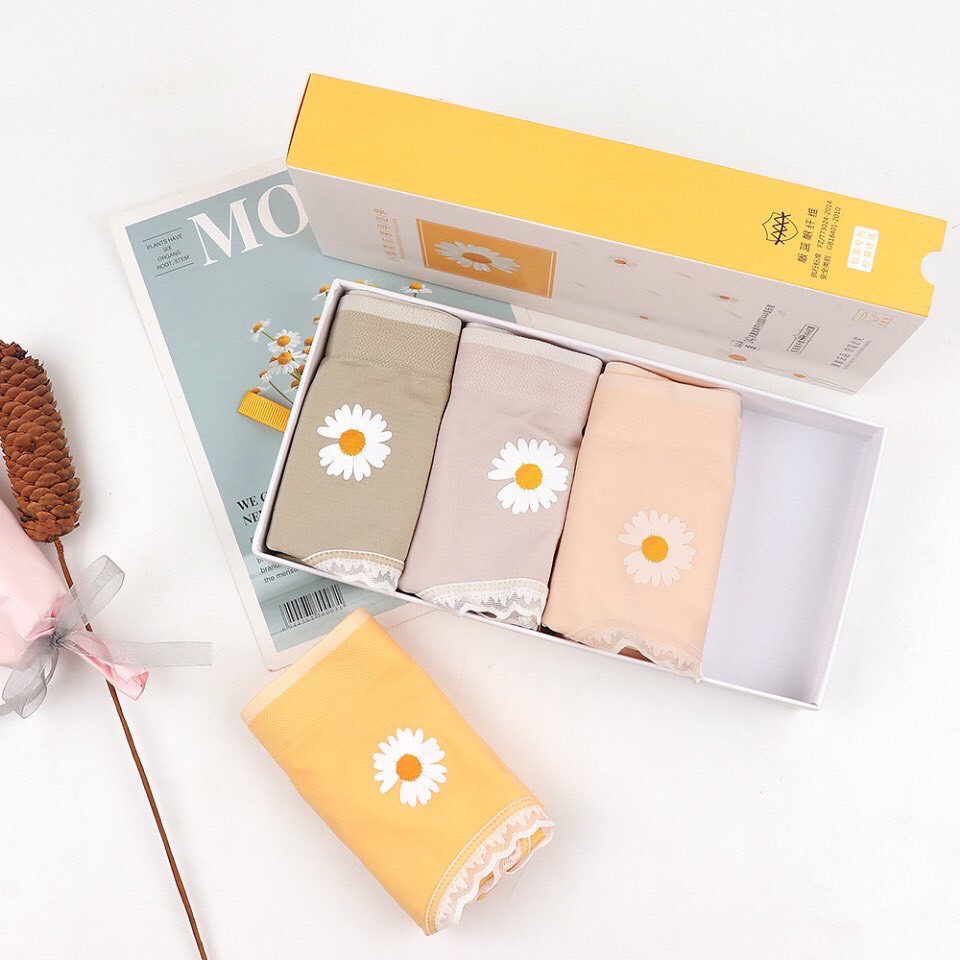 Sét 4 quần lót hoa cúc cao cấp viền ren chất liệu cotton mềm mại, thấm hút mồ hôi tốt có hộp đựng HÀNG LOẠI ĐẸP SIÊU XỊN