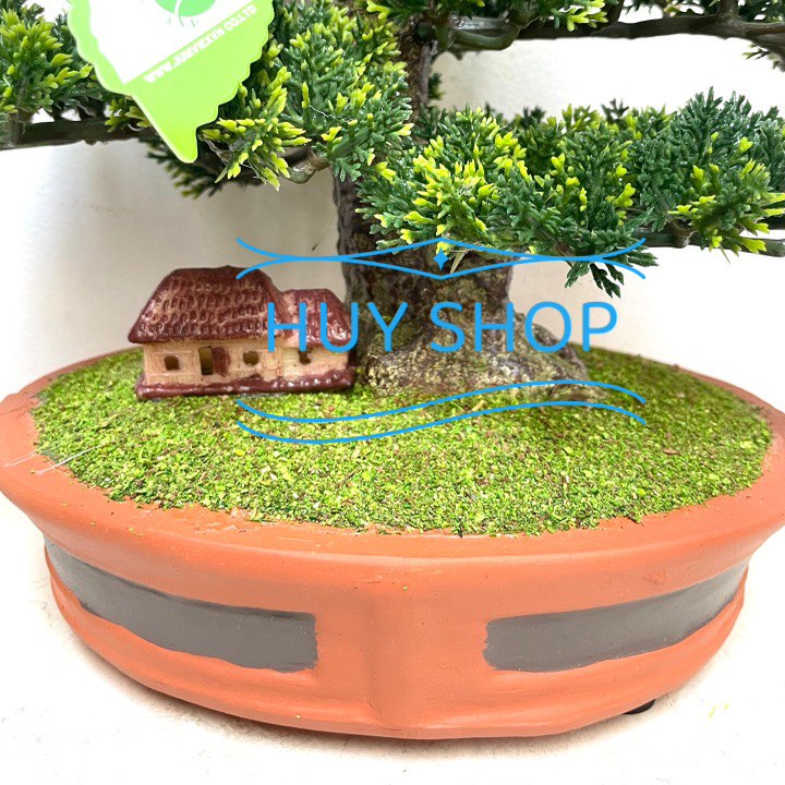 Chậu TÙNG KIM nhân tạo để bàn  trang trí nhà cửa