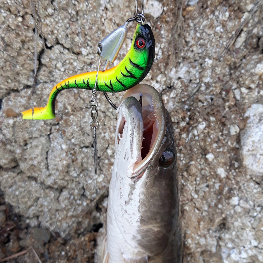 Combo 7 Con Mồi Mềm Câu Lure Câu Cá Lóc, Cá Chẽm, Cá Măng, Cá Nhồng - Combo Mồi Câu Cá Lóc, Mồi Giả Câu Cá NFF