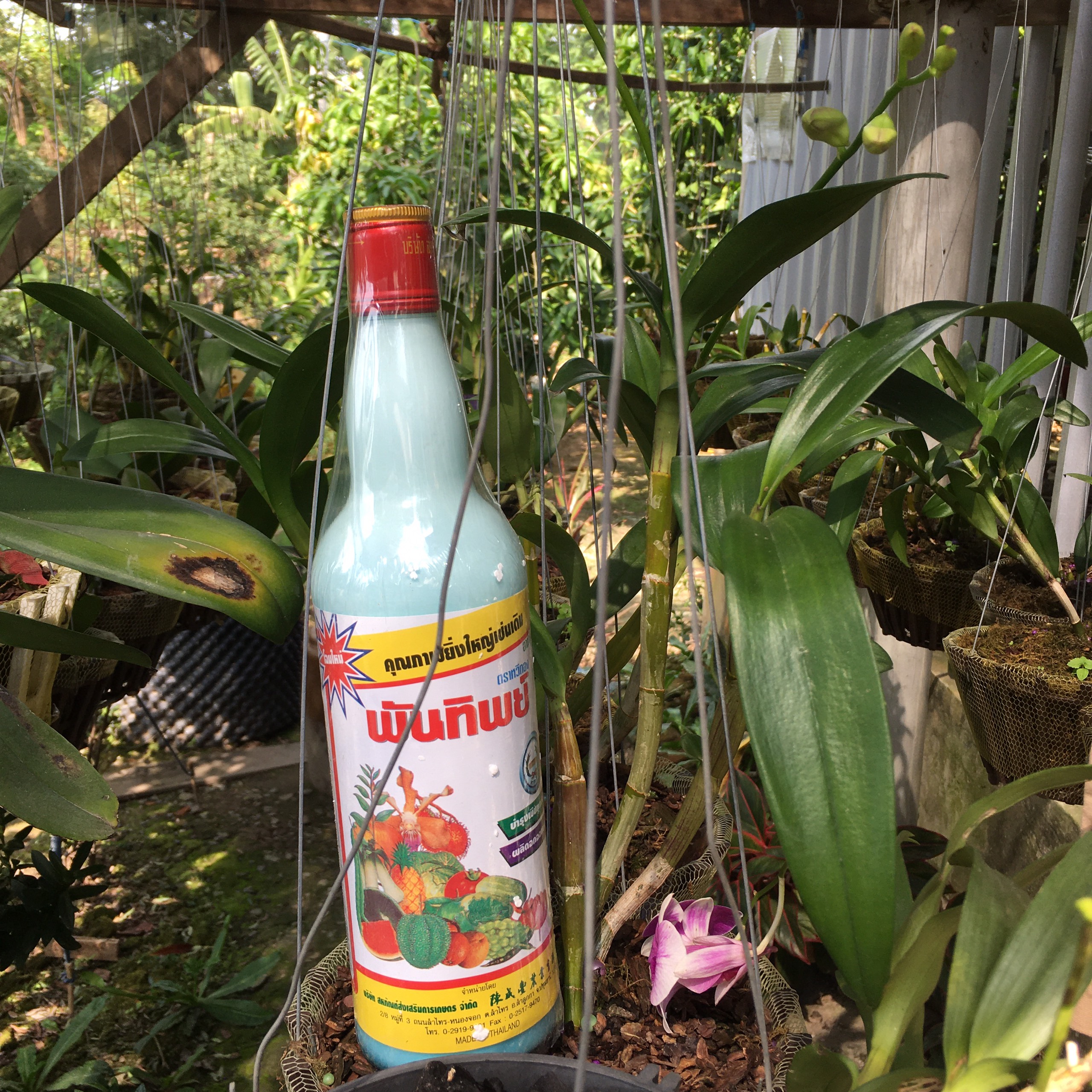 Phân bón trung vi lượng Plant Tonic  725ml - Union Agriculture ThaiLand