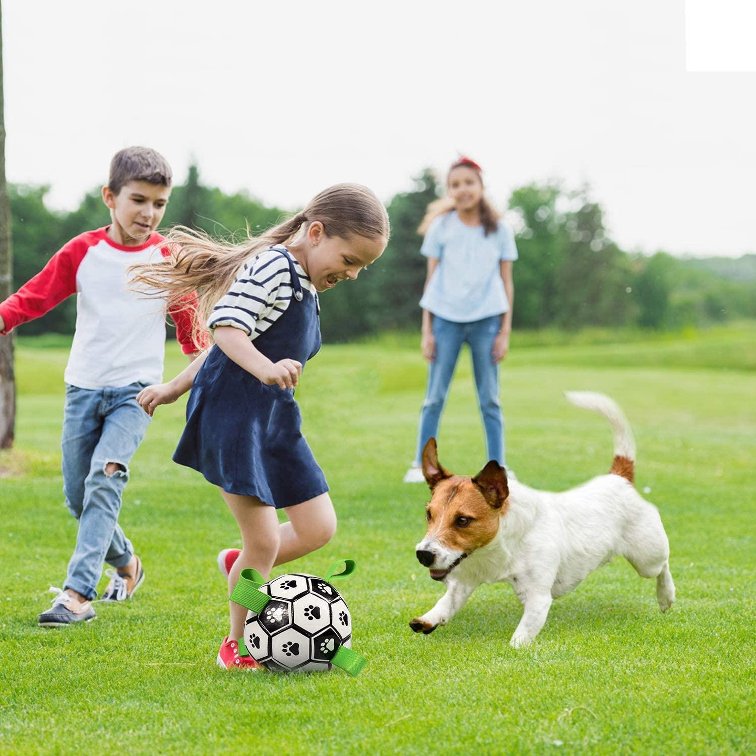 Bóng đồ chơi cho chó, Đồ chơi cho chó tương tác có tab, Đồ chơi dưới nước trong nhà và ngoài trời, Đồ chơi cho chó kéo co, Thích hợp cho chó vừa và nhỏ.