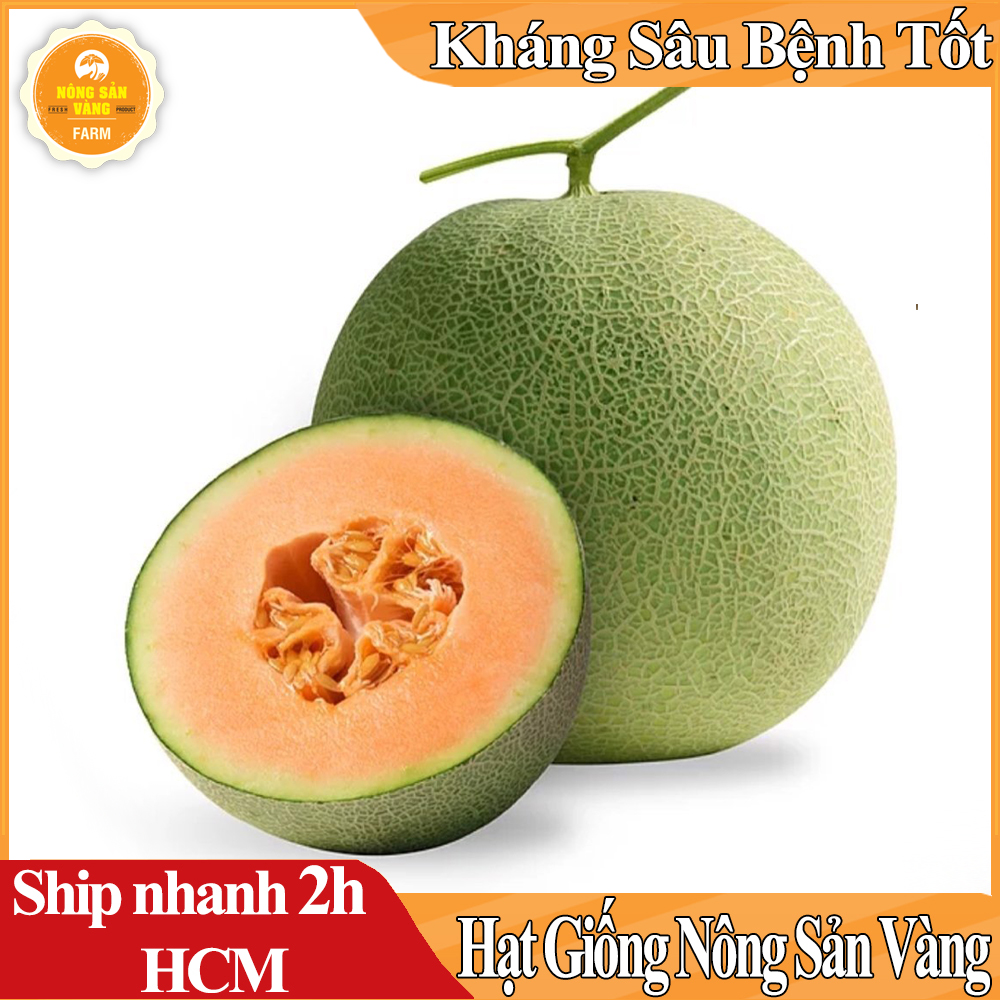 Hạt giống Dưa Lưới Ruột Vàng - Nông Sản Vàng