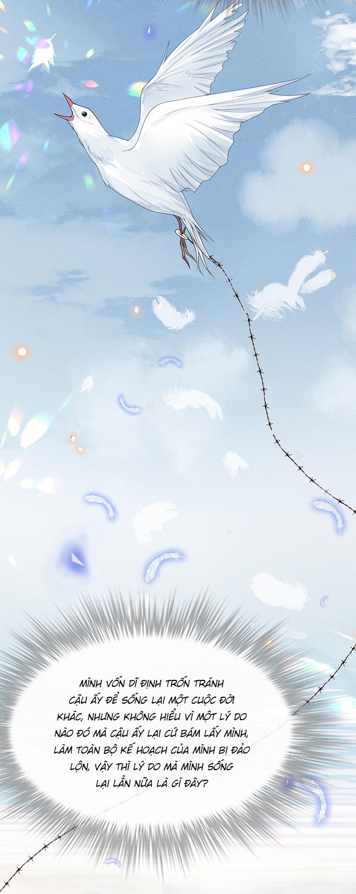 lai sinh bất kiến chapter 39 27