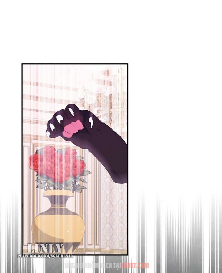 tôi đang nuôi dưỡng một con quái thú chapter 28 66