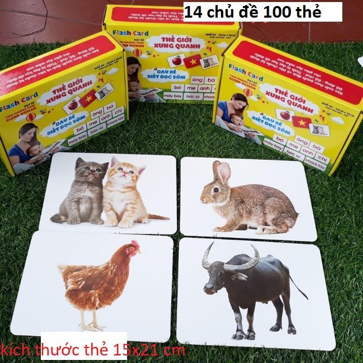 Hộp Flashcard - Dạy trẻ về thế giới xung quanh - Khổ A5 - 14 chủ đề ( Vừa học vừa chơi phát triển trí thông minh cho bé)