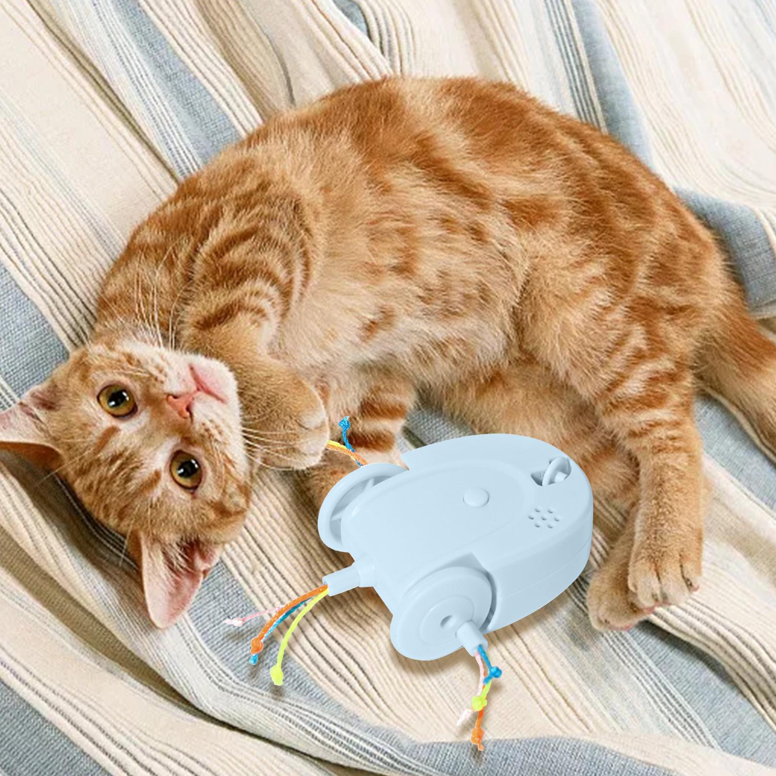 Automatic Cat Toys Interactive Cat Feather Toys, Pet Exercise Toys, Electric Cat Toys for Indoor Cats Kitten with Feather