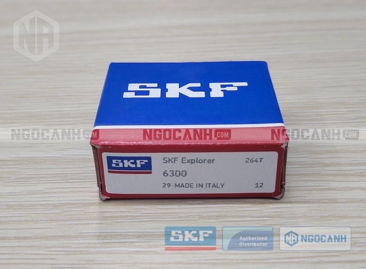 Vòng bi bạc đạn 6300 SKF chính hãng