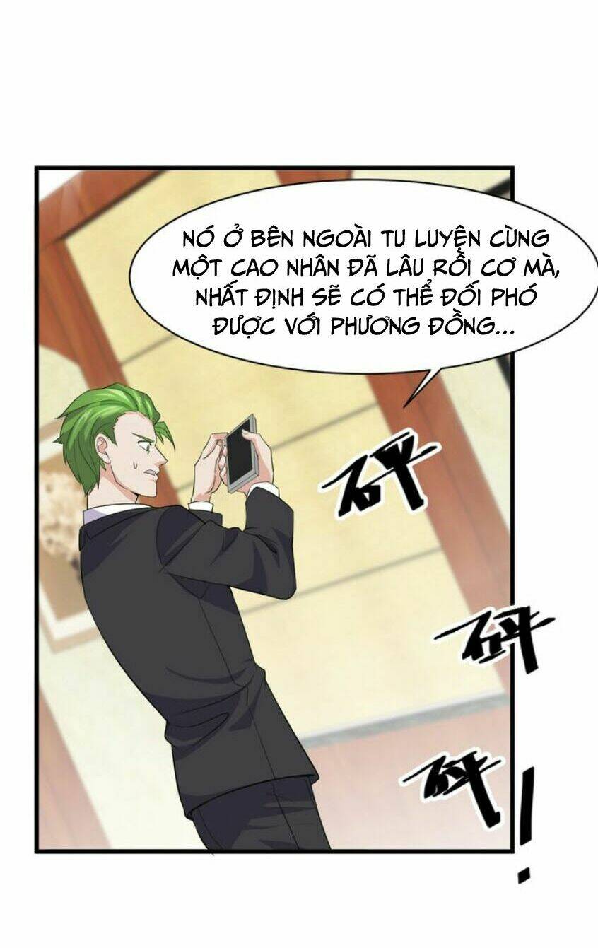 siêu cấp hộ vệ của đại tiểu thư chapter 10 20