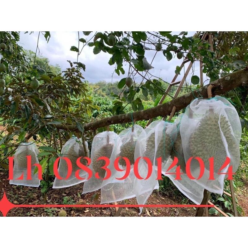 1 TÚI BỌC TRÁI SẦU RIÊNG CỠ 50x70cm CƯỚC THÁI