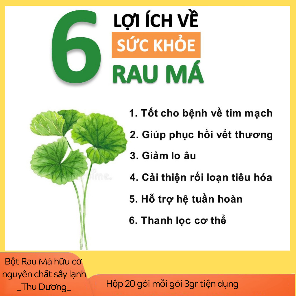 Bột Rau Má hữu cơ nguyên chất sấy lạnh Dalahouse - Hộp 20 gói nhỏ 3gr định lượng sẵn cho 1 lần sử dụng - Giải độc, mát gan, thanh nhiệt cơ thể, giảm mụn, đẹp da. Kháng khuẩn, giảm viêm, hỗ trợ tiêu hóa