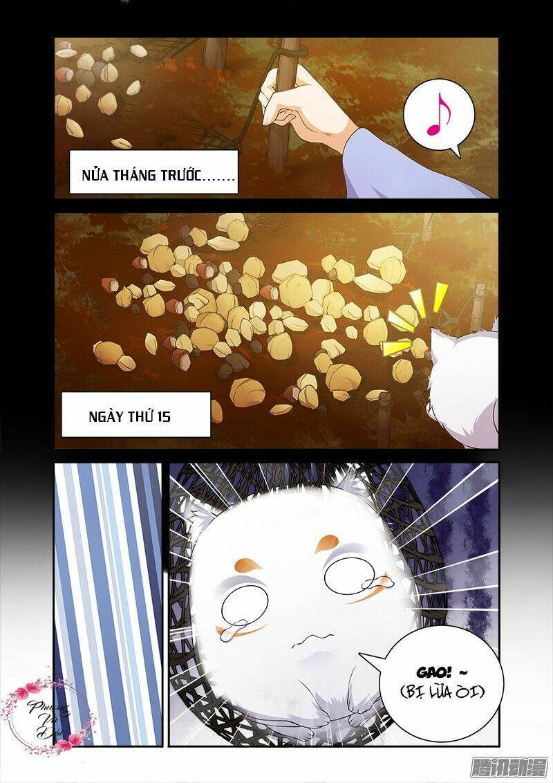 cự tuyệt bạo quân chuyên sủng: hung mãnh vương phi chapter 19 9