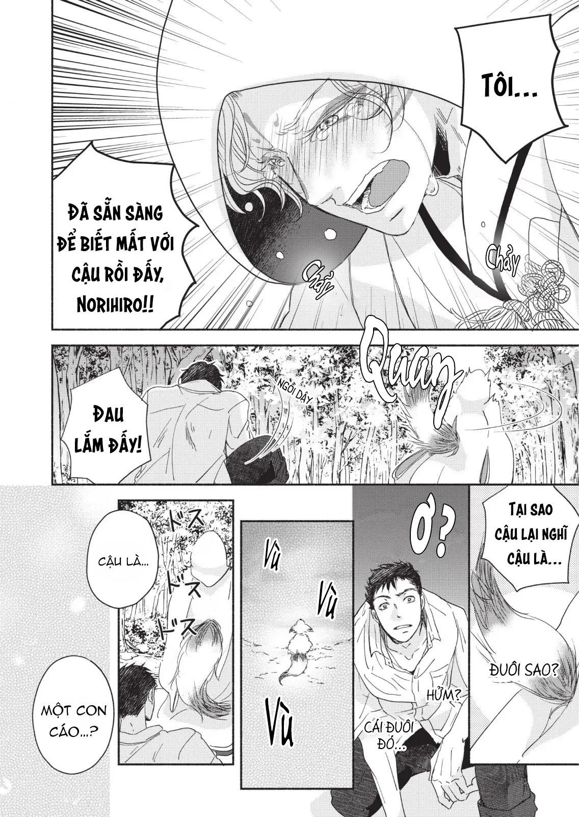 oneshot bl từ nhiều tác giả - mlèo dịch chapter 169 6